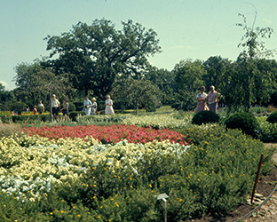 Cantigny formal gardens, circa 1967