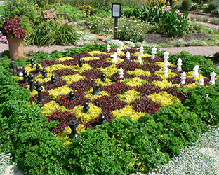 Cantigny Idea Garden, chess board made out of flowers