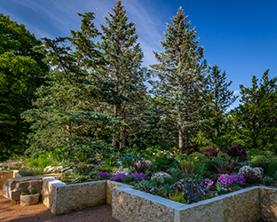 Cantigny gardens, rock garden