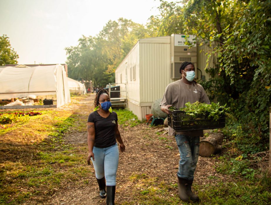 woman and man carrying a filled crate walking from a greenhouse