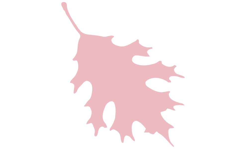 Cantigny Oak Leaf logo, transparent